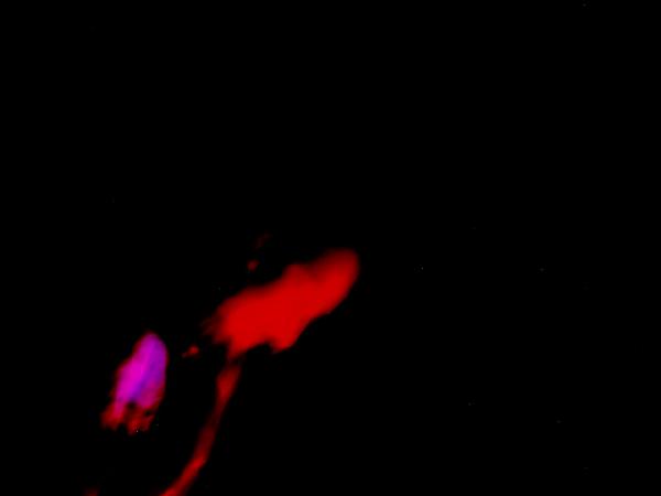  Bildname: IM000238.JPG 
 Breite: 640 Pixel 
 H�he: 480 Pixel 
 Gr�sse: 24 kB 