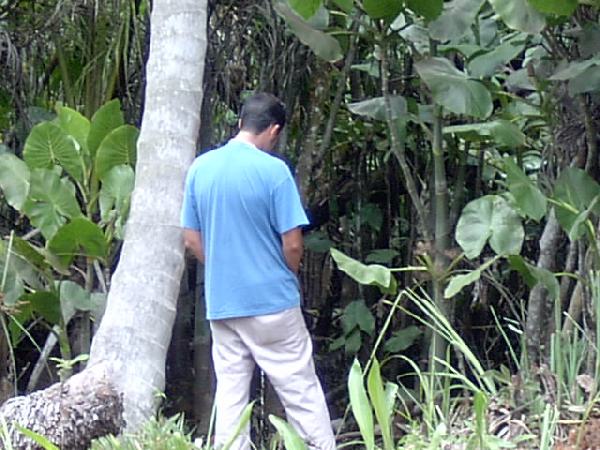  Bildname: IM001332.jpg 
 Breite: 640 Pixel 
 H�he: 480 Pixel 
 Gr�sse: 102 kB 