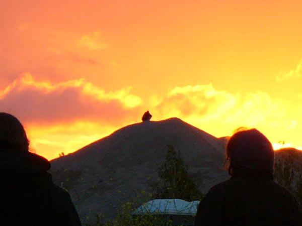  Bildname: jalanda in exile 050.jpg 
 Breite: 600 Pixel 
 H�he: 450 Pixel 
 Gr�sse: 44 kB 