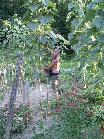  Bildname: 177.jpg 
 Breite: 180 Pixel 
 H�he: 240 Pixel 
 Gr�sse: 51 kB 