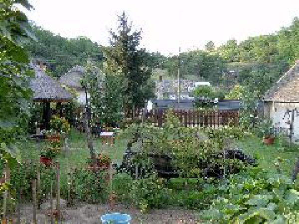  Bildname: 179.jpg 
 Breite: 240 Pixel 
 H�he: 180 Pixel 
 Gr�sse: 19 kB 