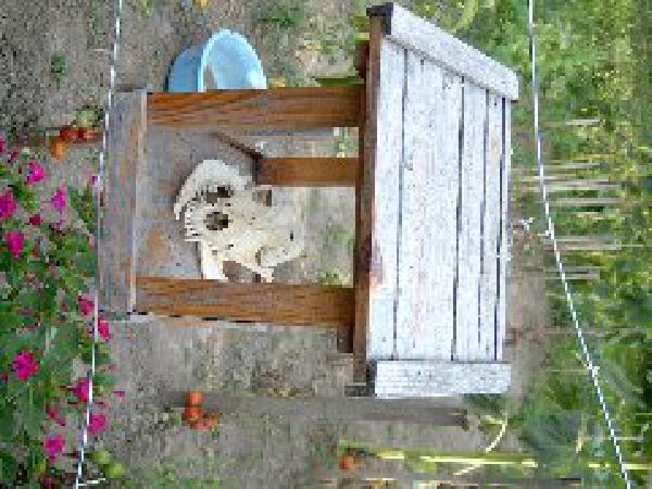  Bildname: 182.jpg 
 Breite: 240 Pixel 
 H�he: 180 Pixel 
 Gr�sse: 20 kB 