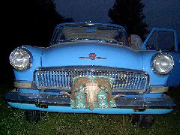  Bildname: 186.jpg 
 Breite: 240 Pixel 
 H�he: 180 Pixel 
 Gr�sse: 19 kB 