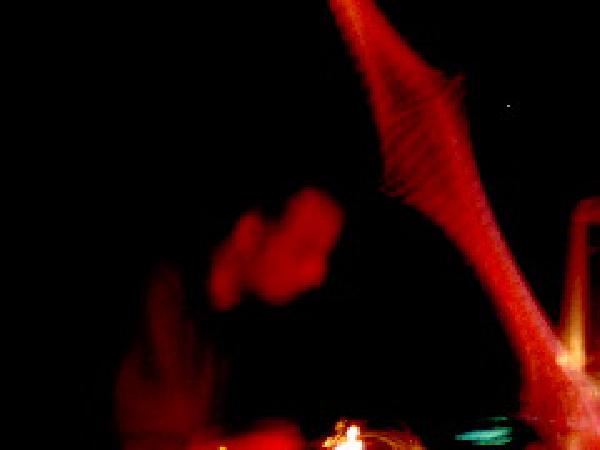  Bildname: 212.jpg 
 Breite: 240 Pixel 
 H�he: 180 Pixel 
 Gr�sse: 9 kB 