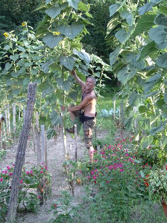  Bildname: IM000263.jpg 
 Breite: 1536 Pixel 
 H�he: 2048 Pixel 
 Gr�sse: 1.415 kB 