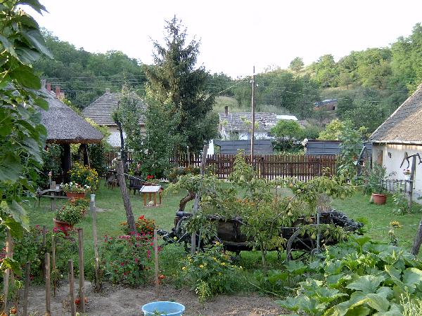  Bildname: IM000265.jpg 
 Breite: 2048 Pixel 
 H�he: 1536 Pixel 
 Gr�sse: 771 kB 