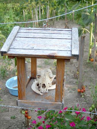  Bildname: IM000268.jpg 
 Breite: 1536 Pixel 
 H�he: 2048 Pixel 
 Gr�sse: 1.072 kB 