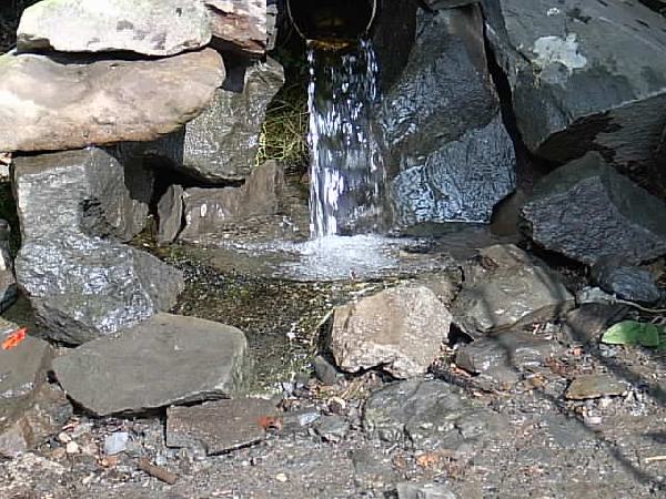  Bildname: IM000433.JPG 
 Breite: 640 Pixel 
 H�he: 480 Pixel 
 Gr�sse: 68 kB 