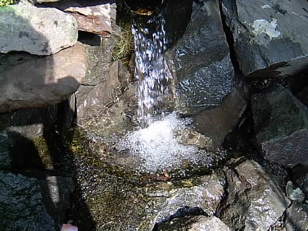  Bildname: IM000437.JPG 
 Breite: 640 Pixel 
 H�he: 480 Pixel 
 Gr�sse: 66 kB 