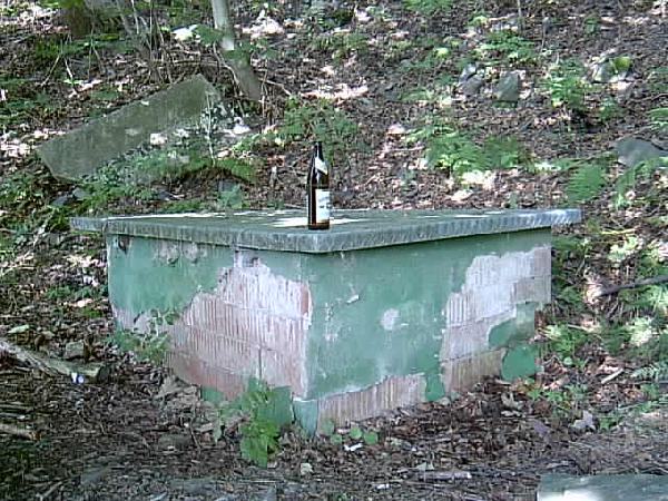  Bildname: IM000442.JPG 
 Breite: 640 Pixel 
 H�he: 480 Pixel 
 Gr�sse: 70 kB 