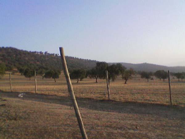  Bildname: Foto(260).jpg 
 Breite: 600 Pixel 
 H�he: 450 Pixel 
 Gr�sse: 26 kB 