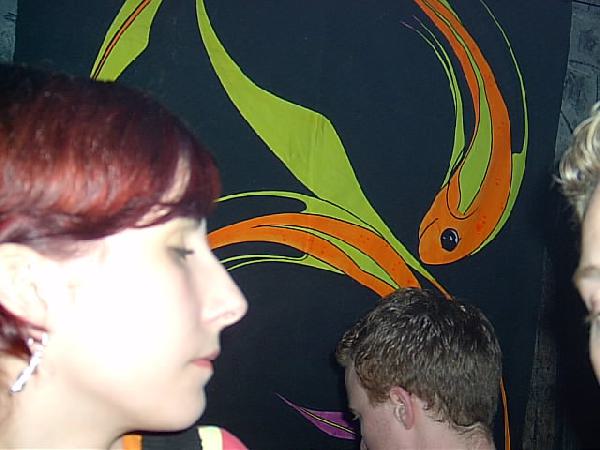  Bildname: IM000902.JPG 
 Breite: 640 Pixel 
 H�he: 480 Pixel 
 Gr�sse: 60 kB 