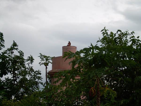  Bildname: IM001100.jpg 
 Breite: 600 Pixel 
 H�he: 450 Pixel 
 Gr�sse: 61 kB 