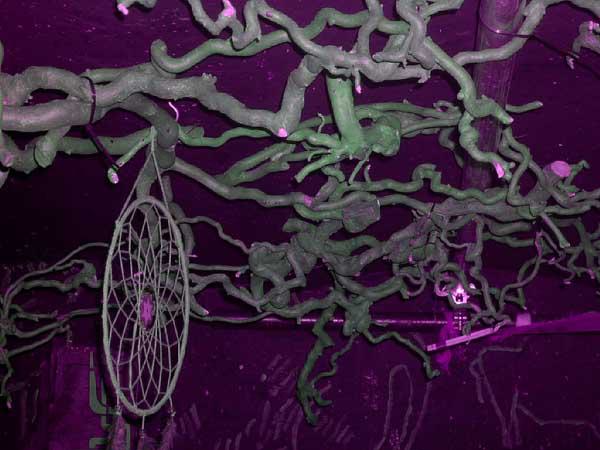  Bildname: IM001829.jpg 
 Breite: 600 Pixel 
 H�he: 450 Pixel 
 Gr�sse: 49 kB 