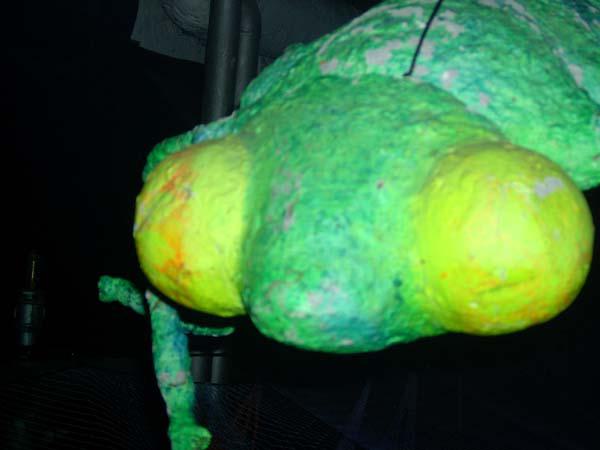  Bildname: IM001966.jpg 
 Breite: 600 Pixel 
 H�he: 450 Pixel 
 Gr�sse: 34 kB 