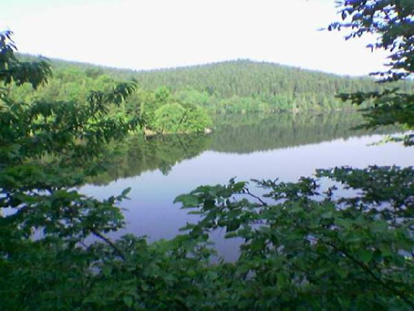  Bildname: Foto(100).jpg 
 Breite: 640 Pixel 
 H�he: 480 Pixel 
 Gr�sse: 34 kB 