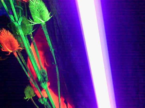  Bildname: Foto(131).jpg 
 Breite: 600 Pixel 
 H�he: 450 Pixel 
 Gr�sse: 25 kB 