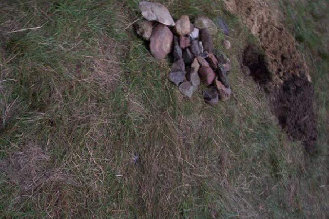  Bildname: 100_7184.jpg 
 Breite: 600 Pixel 
 H�he: 400 Pixel 
 Gr�sse: 71 kB 