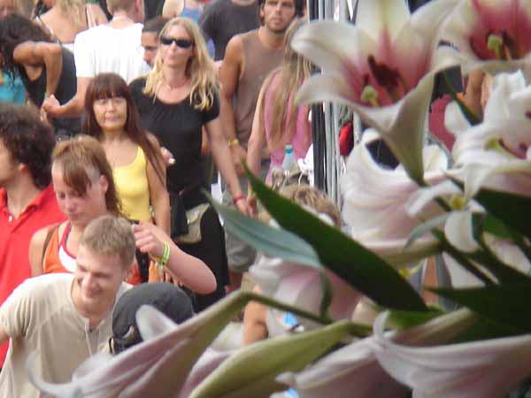  Bildname: 162.jpg 
 Breite: 600 Pixel 
 H�he: 450 Pixel 
 Gr�sse: 52 kB 