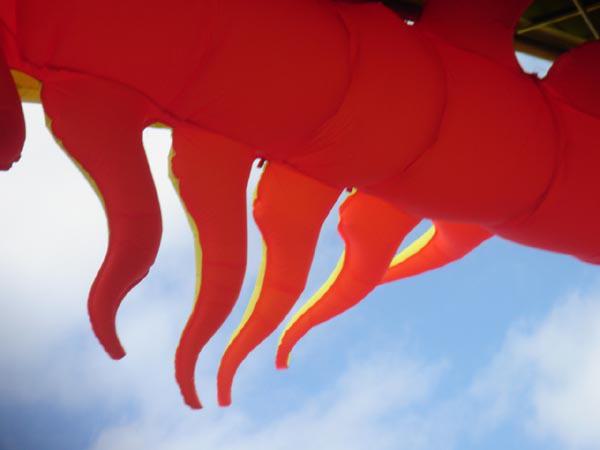  Bildname: DSC00158.jpg 
 Breite: 600 Pixel 
 H�he: 450 Pixel 
 Gr�sse: 37 kB 