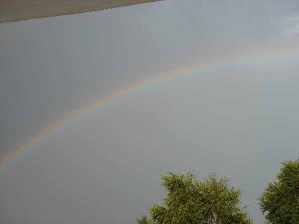  Bildname: DSC00201.jpg 
 Breite: 600 Pixel 
 H�he: 450 Pixel 
 Gr�sse: 28 kB 