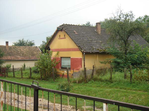  Bildname: DSC00928.jpg 
 Breite: 600 Pixel 
 H�he: 450 Pixel 
 Gr�sse: 67 kB 