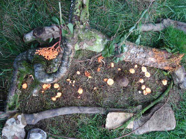  Bildname: DSC00308.jpg 
 Breite: 600 Pixel 
 H�he: 450 Pixel 
 Gr�sse: 112 kB 