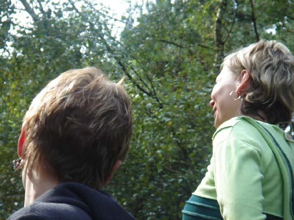  Bildname: DSC01037.jpg 
 Breite: 600 Pixel 
 H�he: 450 Pixel 
 Gr�sse: 69 kB 