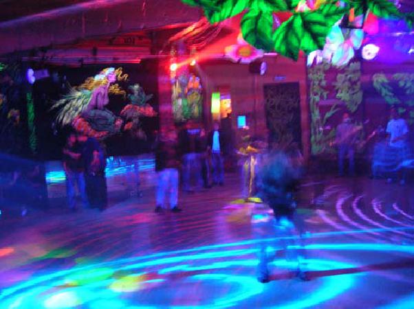  Bildname: DSCN4212.jpg 
 Breite: 535 Pixel 
 H�he: 400 Pixel 
 Gr�sse: 78 kB 