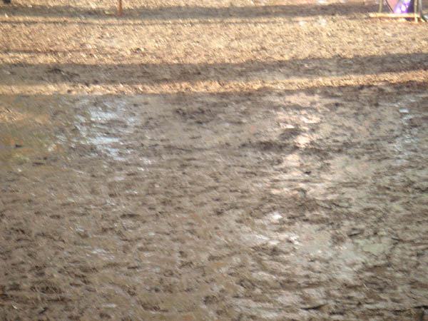  Bildname: DSC03362.jpg 
 Breite: 600 Pixel 
 H�he: 450 Pixel 
 Gr�sse: 81 kB 