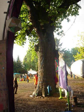  Bildname: DSC03363.jpg 
 Breite: 600 Pixel 
 H�he: 800 Pixel 
 Gr�sse: 127 kB 