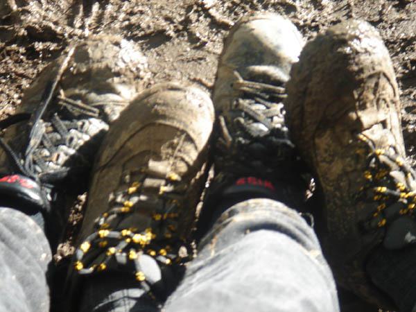  Bildname: DSC03390.jpg 
 Breite: 600 Pixel 
 H�he: 450 Pixel 
 Gr�sse: 82 kB 