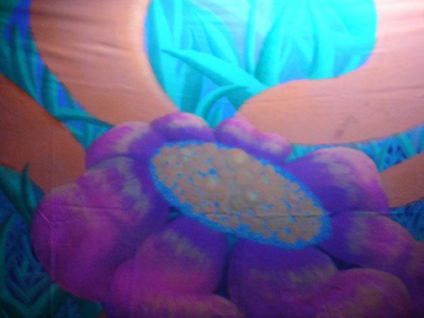  Bildname: DSC03471.jpg 
 Breite: 600 Pixel 
 H�he: 450 Pixel 
 Gr�sse: 62 kB 