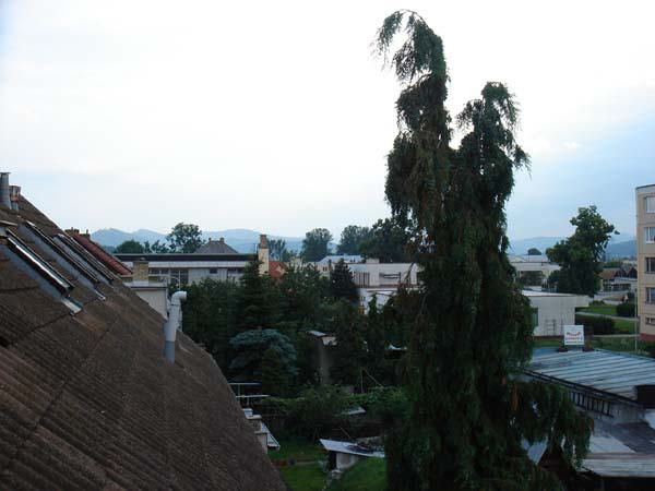  Bildname: DSC03642.jpg 
 Breite: 600 Pixel 
 H�he: 450 Pixel 
 Gr�sse: 49 kB 