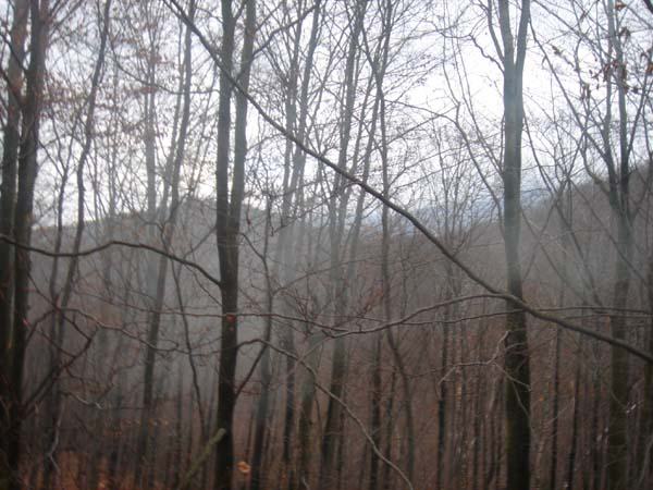  Bildname: DSC04450.jpg 
 Breite: 600 Pixel 
 H�he: 450 Pixel 
 Gr�sse: 74 kB 