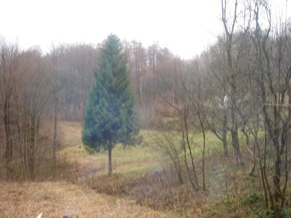  Bildname: DSC04461.jpg 
 Breite: 600 Pixel 
 H�he: 450 Pixel 
 Gr�sse: 50 kB 