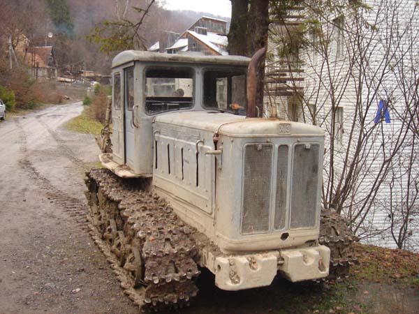  Bildname: DSC04465.jpg 
 Breite: 600 Pixel 
 H�he: 450 Pixel 
 Gr�sse: 85 kB 