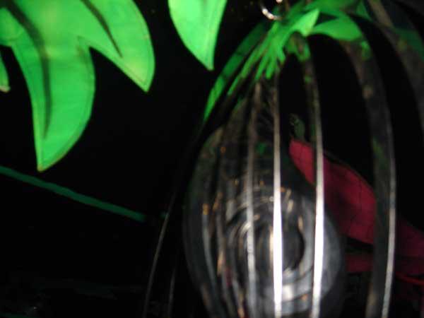  Bildname: jalanda12.jpg 
 Breite: 600 Pixel 
 H�he: 450 Pixel 
 Gr�sse: 34 kB 