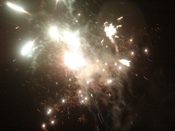  Bildname: DSC04684.jpg 
 Breite: 600 Pixel 
 H�he: 450 Pixel 
 Gr�sse: 60 kB 