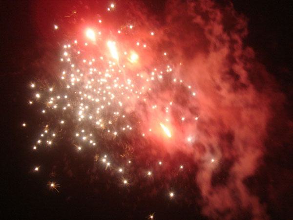  Bildname: DSC04685.jpg 
 Breite: 600 Pixel 
 H�he: 450 Pixel 
 Gr�sse: 62 kB 