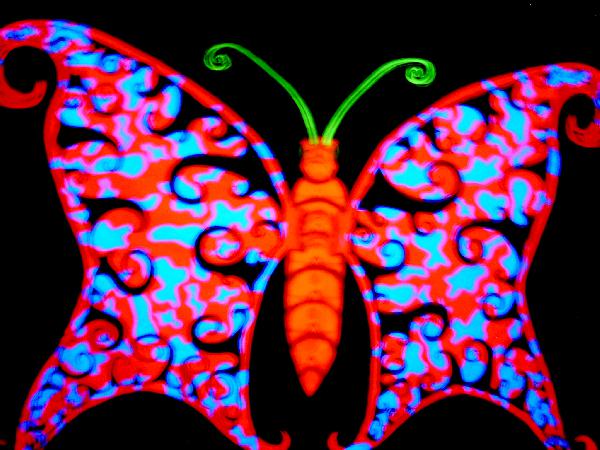  Bildname: IM000010.JPG 
 Breite: 2048 Pixel 
 H�he: 1536 Pixel 
 Gr�sse: 792 kB 