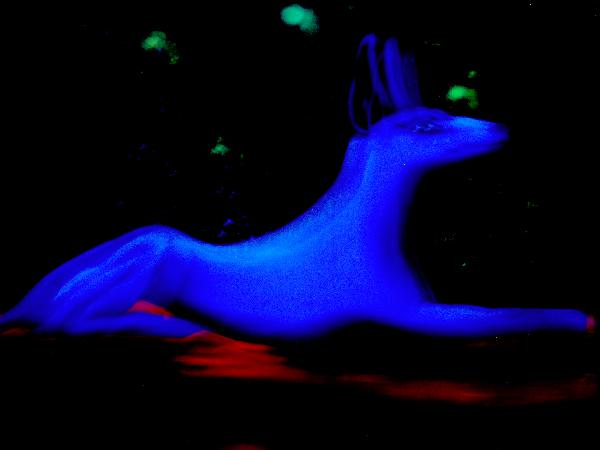  Bildname: IM000011.JPG 
 Breite: 2048 Pixel 
 H�he: 1536 Pixel 
 Gr�sse: 673 kB 