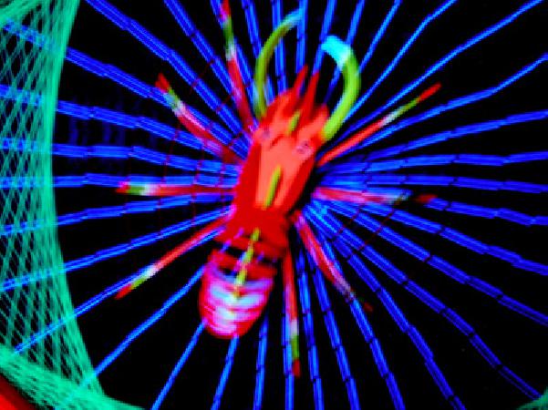  Bildname: IM000259.jpg 
 Breite: 399 Pixel 
 H�he: 299 Pixel 
 Gr�sse: 87 kB 