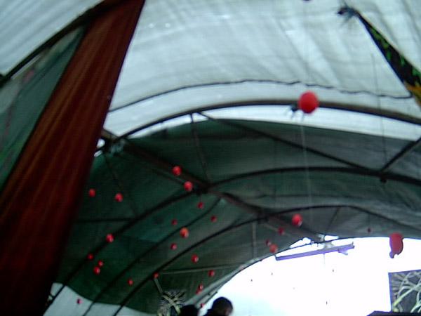  Bildname: IM000412.jpg 
 Breite: 600 Pixel 
 H�he: 450 Pixel 
 Gr�sse: 66 kB 