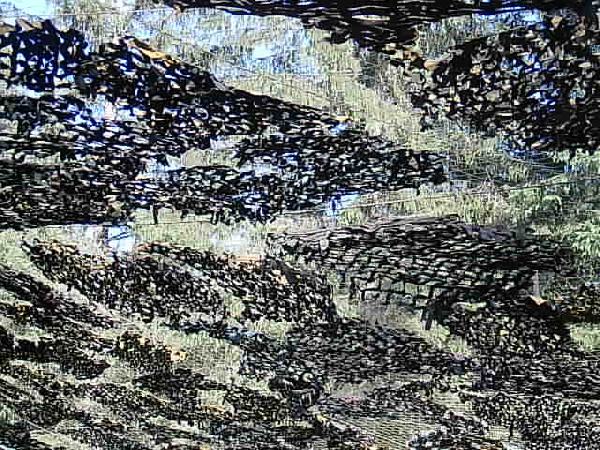  Bildname: IM000496.JPG 
 Breite: 640 Pixel 
 H�he: 480 Pixel 
 Gr�sse: 67 kB 