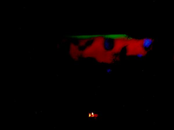  Bildname: IM000518.JPG 
 Breite: 640 Pixel 
 H�he: 480 Pixel 
 Gr�sse: 34 kB 