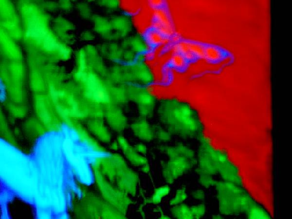  Bildname: IM000520.JPG 
 Breite: 640 Pixel 
 H�he: 480 Pixel 
 Gr�sse: 57 kB 