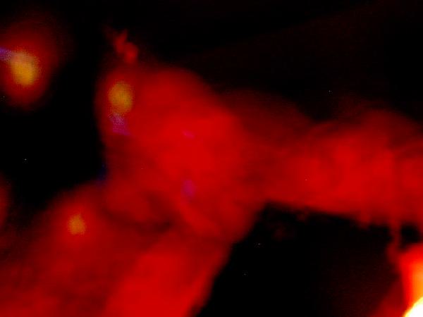  Bildname: IM000586.JPG 
 Breite: 640 Pixel 
 H�he: 480 Pixel 
 Gr�sse: 57 kB 