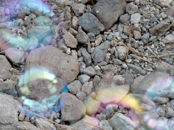  Bildname: IM000654.JPG 
 Breite: 640 Pixel 
 H�he: 480 Pixel 
 Gr�sse: 68 kB 