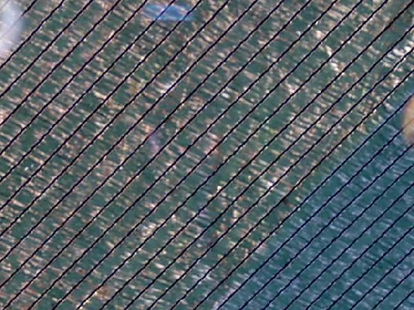  Bildname: IM000657.JPG 
 Breite: 640 Pixel 
 H�he: 480 Pixel 
 Gr�sse: 64 kB 